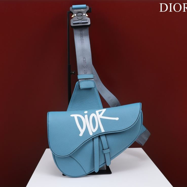 Christian Dior Saddle Bags